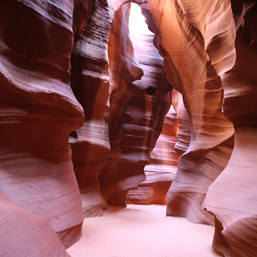 미서부 완전일주 10일 #VIP 리무진 버스 #5대캐년 #특급호텔