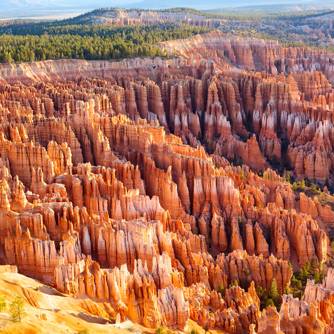 미서부 완전일주 10일 #VIP 리무진 버스 #5대캐년 #특급호텔